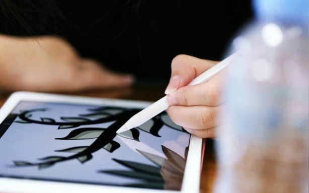 Nature Drawing Ideas for Easy Practice